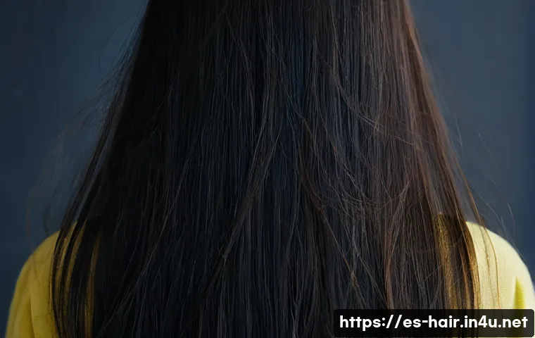 극손상모 복구 앰플 추천 - **Prompt: "Before" - Severely Damaged Hair**
    A close-up portrait of a woman (30s) from the back,...